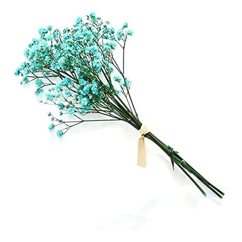 BGGGG Dried Flower Gypsophila Bouquet Gift Box Decoration Vase Bouquet Wedding Party Decoration Cover