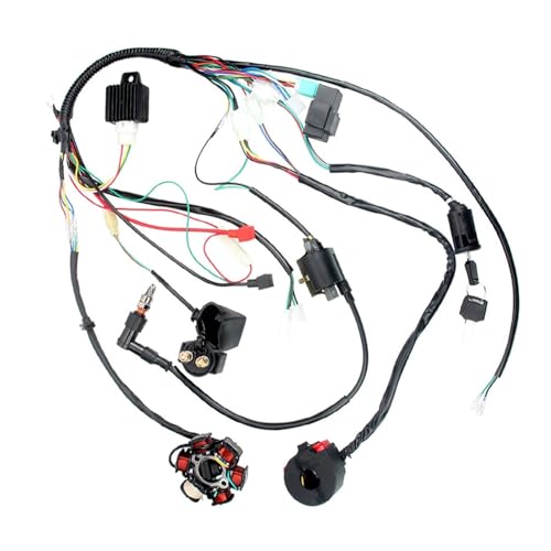 Bobine CDI étanche avec câblage électrique pour moteur de kart 90cc