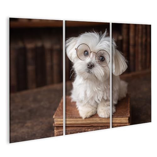 Tableau sur toile chien à lunettes déco salon dynamique pour habiller un grand mur vide