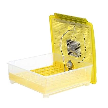 TM&W-(HHD) | 48 Egg Incubator Egg Incubator Automatic Turn Egg Digital Temperature Control Brooder Hatch Machine in Farm Animalg for all birds