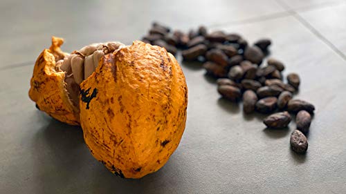 The scrumptious art of bean-to-bar chocolate making in Costa Rica