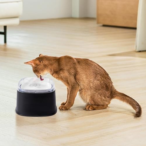 Gamelle à eau anti-débordement à disque flottant et base fixe 2 Litres - 4