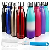 Sfee Insulated Water Bottle, 17oz Stainless Steel Water Bottles, Double Wall Vacuum Reusable Water...