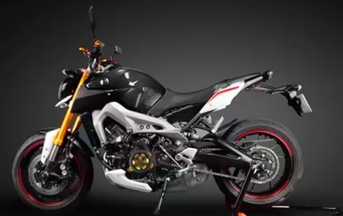 Protection de stator CB650R avec logo gravé finition Titanium