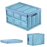 chiitek Foldable Storage Bin 30Liter Durable Plastic Trunk/Camping Organizer Travel Box Tidy Things