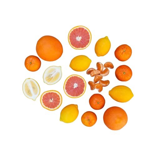 Samen, Citrus Mischung, Orangen, Mandarinen, Clementinen und Zitronensamen gemischt, insgesamt 12 Samen Cover