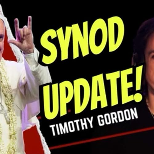 SYNOD UPDATE Podcast Por  arte de portada