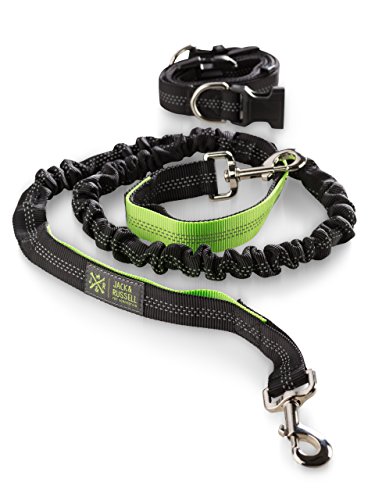 Guinzaglio da Jogging per Cani Jack & Russell con Cintura in Vita - Elastico per Cani Nero-Neon Verde 1,5 m - 2,0 m - Guinzaglio Sportivo (Nero/Verde al Neon)