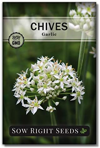 Sow Right Seeds - Garlic Chives Seeds for Planting - Non-GMO Heirloom Seeds; Instructions to Plant and Grow a Kitchen Herb Garden, Indoor or Outdoor; Great Gardening Gift (1)