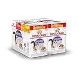 Royal Canin Sterilised in Jelly Adult Wet Cat Food (24 x 85g)