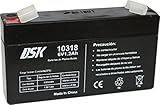 Batteria al piombo AGM ricaricabile sigillata Peso 0,3 Kg