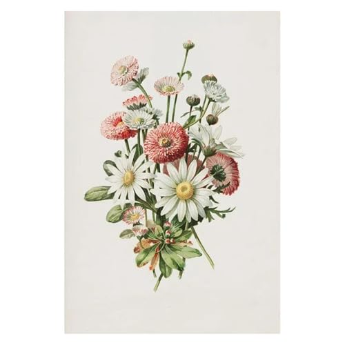 Affiche Botanique Fleurs Sauvages pour Habiller un Grand Mur Toile Marguerites
