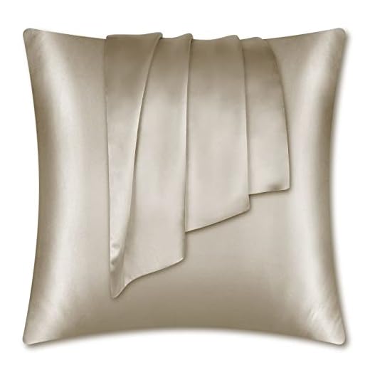 Taie d'oreiller en soie naturelle LULUSILK 100 pure soie de mûrier taie d'oreiller pour cheveux et peau anti-rides Fermeture à Glissière 1 pièce 16 Momme, Soie, taupe, 80*80cm