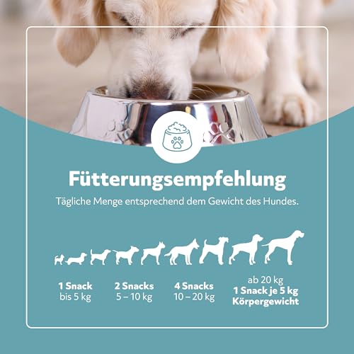 balumed® Snacks Knochen+Gelenke hochkonzentriert mit Grünlippmuschel für Hund, Leckerli mit Präbiotika, Postbiotika, Bierhefe, Teufelskralle, Chondroitin & Kollagen, Vitamine E + B, 325 g
