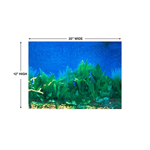 Penn-Plax Dbc10Cb Reversible Double-Sided Aquarium Background Side 1 Blue Gradient/Side 2 Underwater Plant Life #TOP3