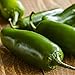 LA COSTENA PEPPER JALAPENO WHOLE #10 93OZ