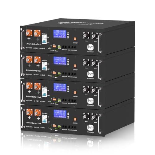 wirentech 48V 100Ah lifepo4 Battery 51.2V Lithium Server Rac