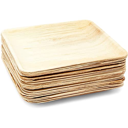 Juvale Square Areca Palm Leaf Plates, Single-Use Party Dinnerware (10 In, 24 Pack) #TOP4