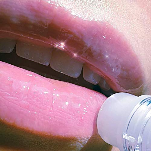 Mode Lip Glaze Pink Champagne Flavored Lip Gloss Roll On Sheer Yummy Shine, Hydrating Natural Skincare Fruit Oils Moisturizing Sweet Almond, Areni Noir, Wild Rose – Vegan, Cruelty Free, Ny Made #TOP2