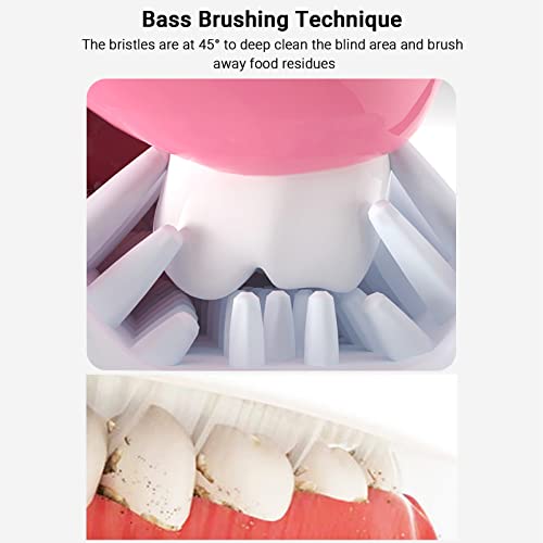 CaiTang 2 U-vormige tandenborstels voor kinderen, siliconen tandenborstel voor kinderen van 2 tot 12 jaar, handmatige tandenborstel in U-vorm met siliconen borstels, volledige gebitsreiniging (roze + blauw) - Image 5