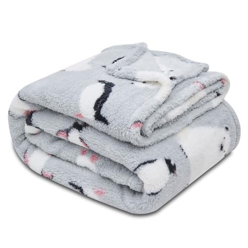 VELVETIO Comfy Teddy Bear Animal Print Throw 200 x 240 cm, L