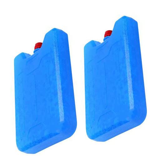 Lot De 24 Blocs De Glace Bleus Pour Glacières, Expédition Et Boîte