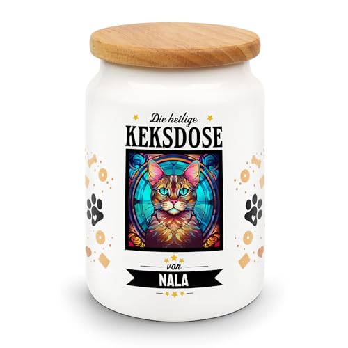 Britisch Kurzhaar Katze Preis: Wie viel kostet eine BKH Katze?