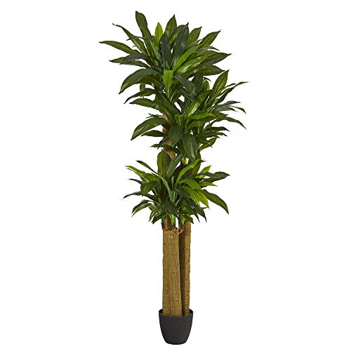 Nearly Natural 6ft. Corn Stalk Dracaena Artificial Plant (Real Touch)