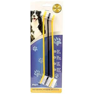 Dog Toothbrush Set of 6 – Dual Headed Dental Hygiene Brushes for Small to Large Dogs, Cats, and Most Pets Dog Toothbrush Set of 6 – Dual Headed Dental Hygiene Brushes for Small to Large Dogs, Cats, and Most Pets