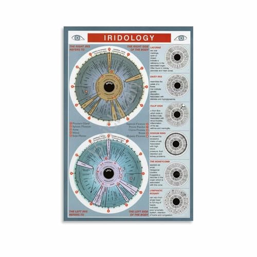 Poster d'anatomie d'iridologie pour décorer un bureau de santé holistique