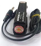 Carnatische Saraswati Veena Elektromagnetische Induktion elektrische Oberfläche Pickup