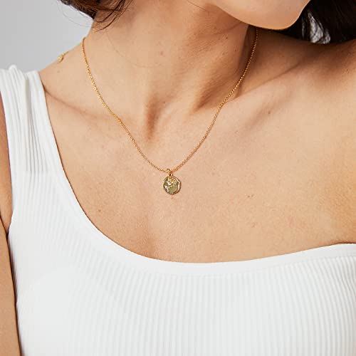 Lit Wall Rose Necklace for Women 18K Gold Plated Dainty Rose Pendant Necklace Gold Necklace for Women Gift for Her by Lit Wall - Used condition - Image 3