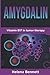 Produktbild AMYGDALIN: Vitamin B17 in Tumor Therapy (For a long healthy and happy life, Band 3)