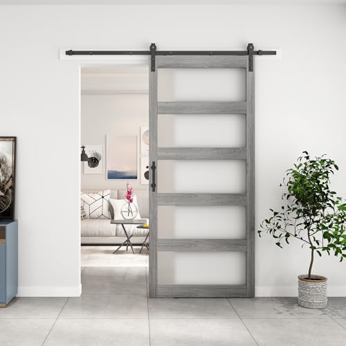 BARNSMITH 42in x 96in Glass Barn Door and 7FT Sliding