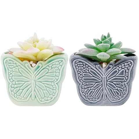 Segreto Succulent Plant Pots Butterfly Dragonfly Flower Pots Ceramic Planter for Cactus Plants Container Bonsai Pots with Drainage Hole for Home Decor,Set of 2 Cover