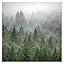 FOAM - Forest Escape