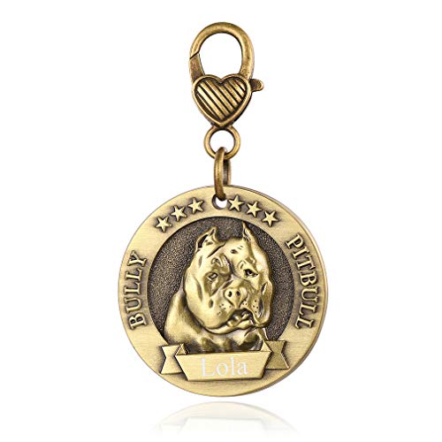 Custom4U 3D Dog Head Medals Personalized Pet's Id Tag Zinc Alloy Charm For Several Dog Breeds Welsh Gorgi/Bull Dog/Labrador Retriever #TOP28