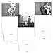 The Best Card Company 10 Assorted Thank You Notecards Boxed Set 4 x 5.12 Inch with Envelopes (10 Designs, 1 Each) Canine Comments M1623TY