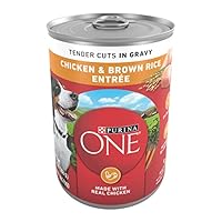 Algopix Similar Product 18 - Purina ONE Tender Cuts in Wet Dog Food