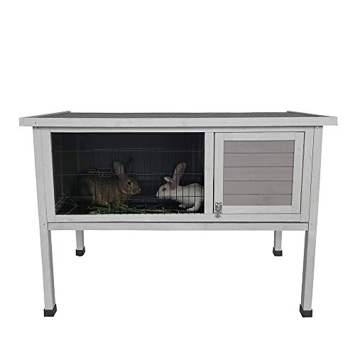 wooden house rabbit outdoor