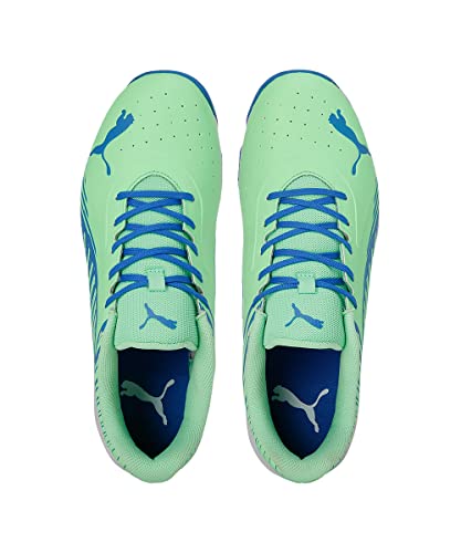 Image of Puma Mens 22 Fh Rubber Cricket Shoe