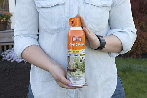 Image of Ortho Home Defense Backyard Mosquito and Bug Killer Area Fogger 16 oz. For flies, horse flies, wasps, hornets, yellowjackets, mites, and stink bugs