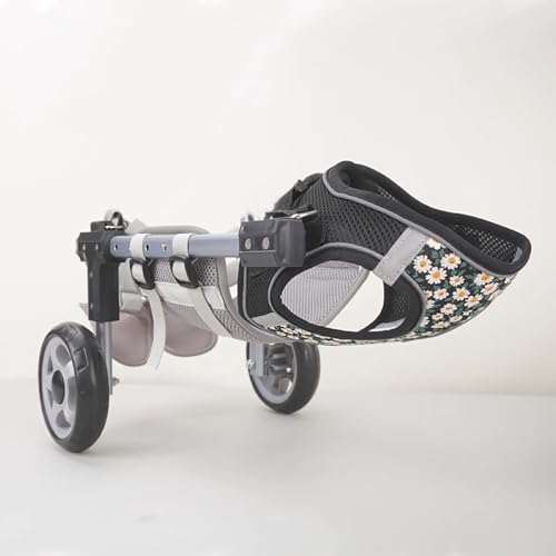 Chariot de rééducation confortable chat réglable aide à la mobilité