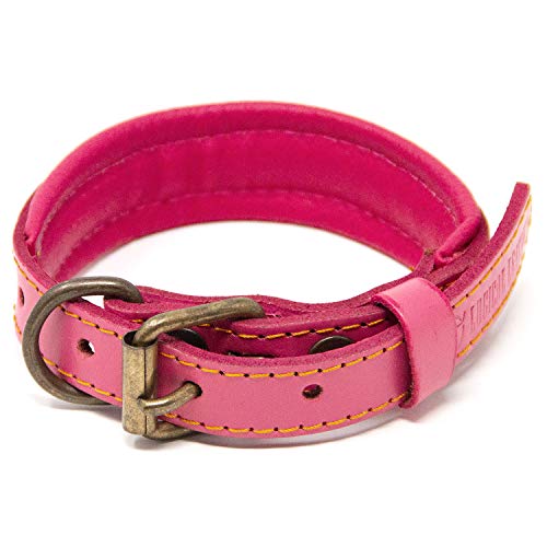 Logical Leather Padded Dog Collar - Best Full Grain Heavy Duty Genuine Leather Collar - Pink - Small #TOP10