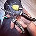 Rack-A-Tiers Croc's Needle Nose Wire Strippers AWG 10-22, Wire Crimper & Stripper, Wire Stripper Cutter, Ergonomic Glow-in-the-Dark Handles, Wire Insulation Stripper (47000)