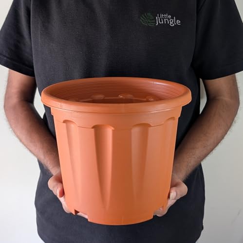 littlejungle 10 Inch Brown Nursery Pots | Pack of 4 | Plastic Plant Planters with Drainage Holes | Indoor & Outdoor Gardening Pots | Lightweight & Easy Maintenance | Ideal for Flowers, Herbs & Shrubs