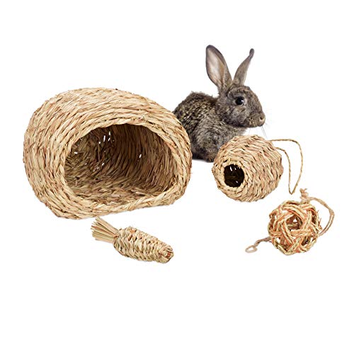 Relaxdays Juego de Accesorios para Animales pequeños (4 Piezas, casa de Hierba, 2 Bolas y Zanahoria), Accesorios para Jaula, cobayas y Conejos, Color Natural