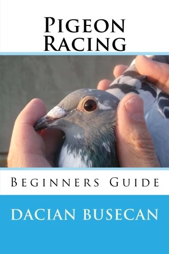 Pigeon Racing: Beginners Guide