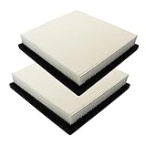 CA9054 Replacement 2 Pack Engine Air Filter for Chrysler 200 Cirrus Sebring Town & Country Voyager