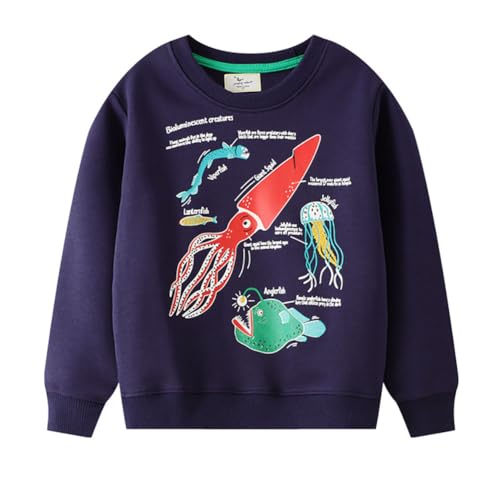 Boys Sweatshirts Long Sleeve Sweatshirts T-shirts Crew Neck Cotton Casual Sweatshirts Cartoon Tops for Boys-232